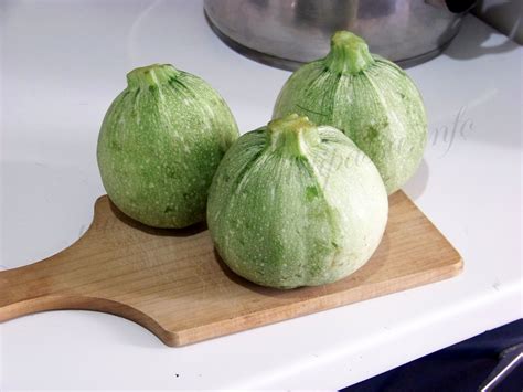 Zucchine tonde fresche