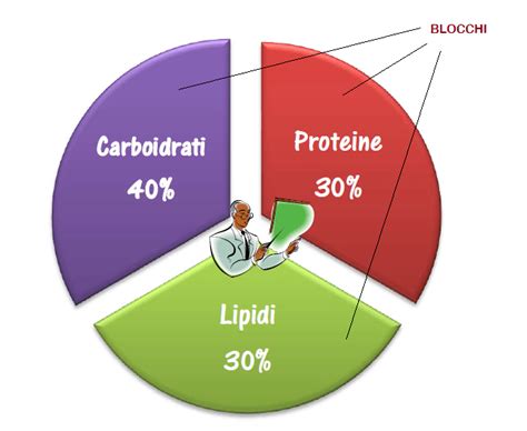 Grafico nutrizionale stilizzato che mostra calorie, proteine, carboidrati e grassi