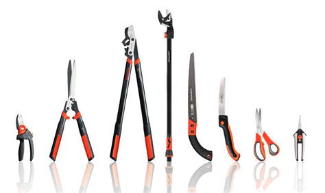 Attrezzi per la potatura dell'olivo