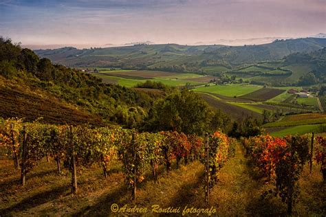 Panorama della campagna piacentina con un piccolo bar in primo piano