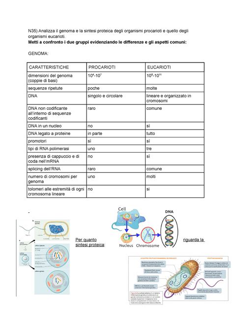 Schema di confronto del DPS tra Minigun e Mitragliatrice standard
