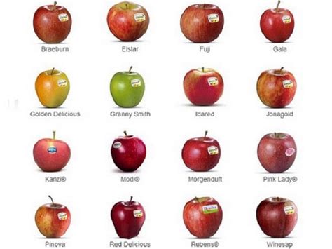 Diverse varietà di mele