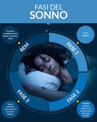 Schema che illustra le fasi del sonno del cane