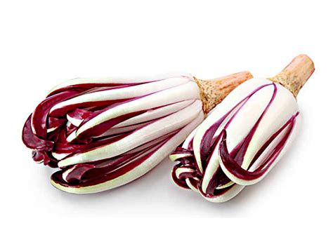 Radicchio tardivo di Treviso