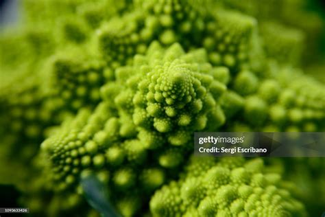 Broccolo romanesco in diverse preparazioni