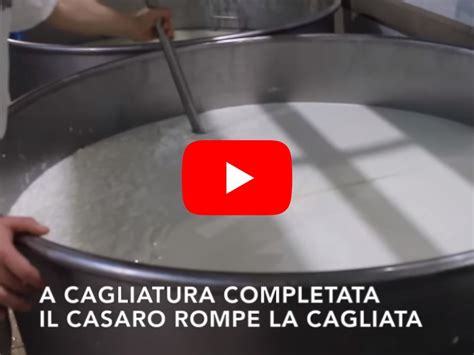 Latte fresco che scorre in un caseificio