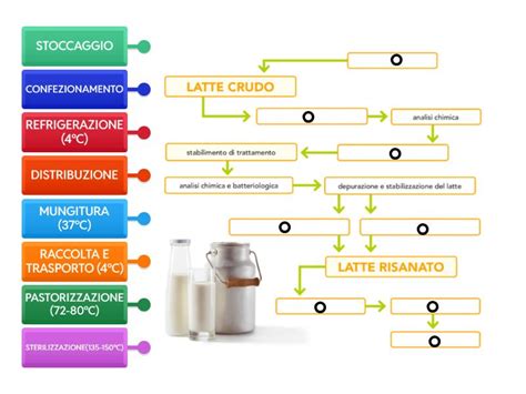 Infografica che illustra la filiera del latte