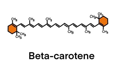 Beta-carotene structure and function
