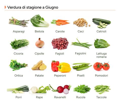 Varietà di verdure fresche per la zuppa
