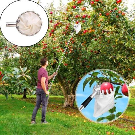 Strumento di raccolta frutta tradizionale