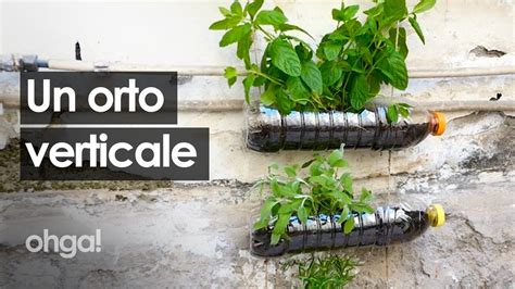 Schema costruzione raccoglifrutta con bottiglia di plastica