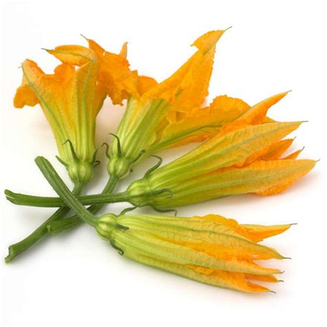 Dettaglio della pulizia di un fiore di zucca, mostrando la rimozione del pistillo