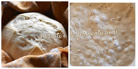 Processo di lievitazione dell'impasto del panettone