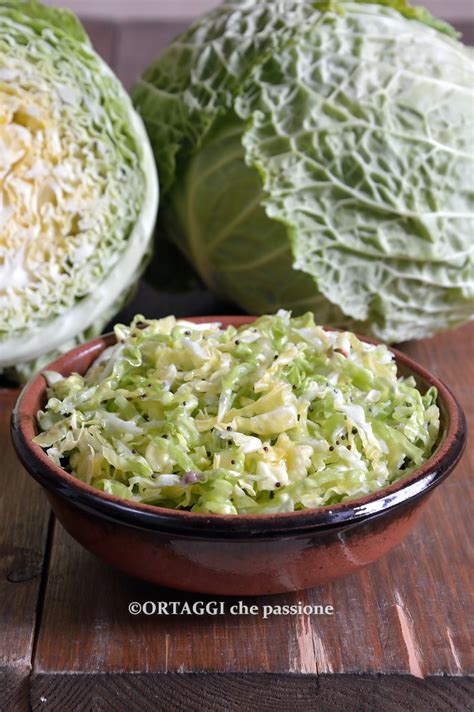 Ingredienti freschi per insalata di verza