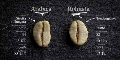 Chicchi di caffè Arabica e Robusta