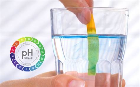 Strumenti per la misurazione del pH e la titolazione del latte