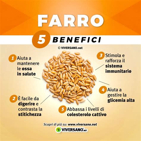 Infografica che illustra i benefici nutrizionali del farro