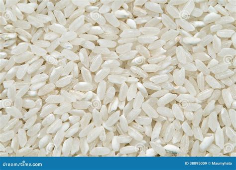 Immagine di agave e chicchi di riso