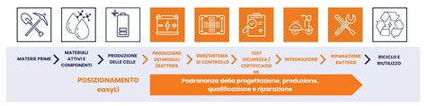Schema della catena di produzione del pollo