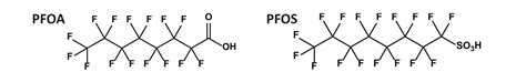 Schema di struttura chimica dei PFAS