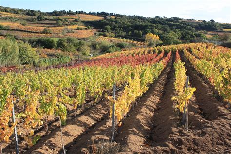 Paesaggio rurale della Sardegna