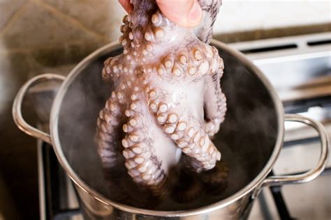 Polpo che viene tuffato nell'acqua bollente