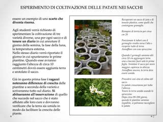Schema che mostra come praticare le aperture sul sacco di coltivazione