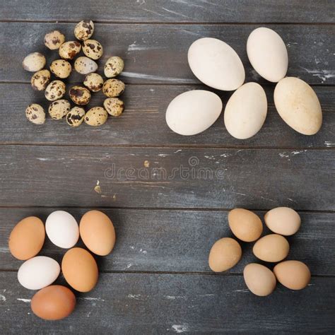 Uova di diverse dimensioni