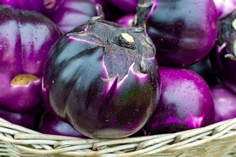 Melanzane viola scuro