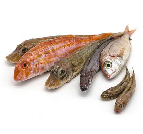 Pesci misti per zuppa
