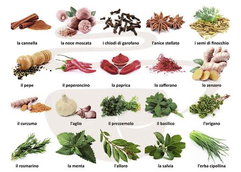 Spezie ed erbe aromatiche
