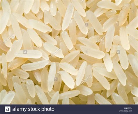 Chicchi di riso crudi e cotti