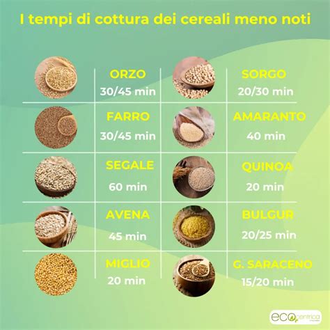 Schema che illustra le diverse modalità di cottura di un forno a microonde combinato: microonde, grill, ventilato