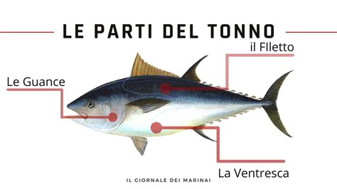 Diverse parti del tonno