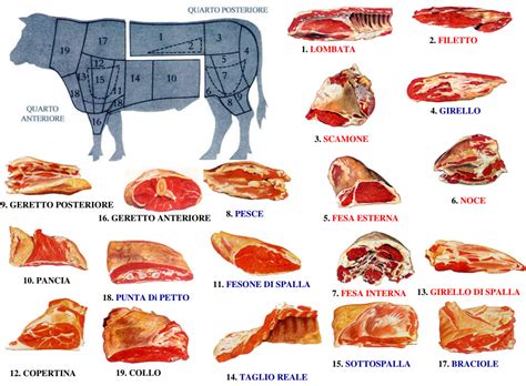 Composizione di diversi tagli di carne bovina