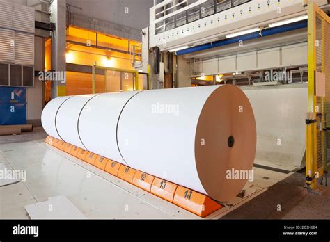 rotoli di carta in una cartiera