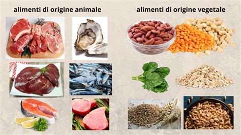 Infografica che confronta il contenuto di ferro in diverse parti del pollo