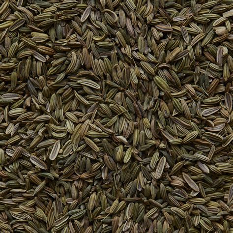 Infuso di semi di finocchio in una tazza