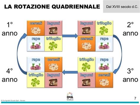 Schema rotazione colture orto