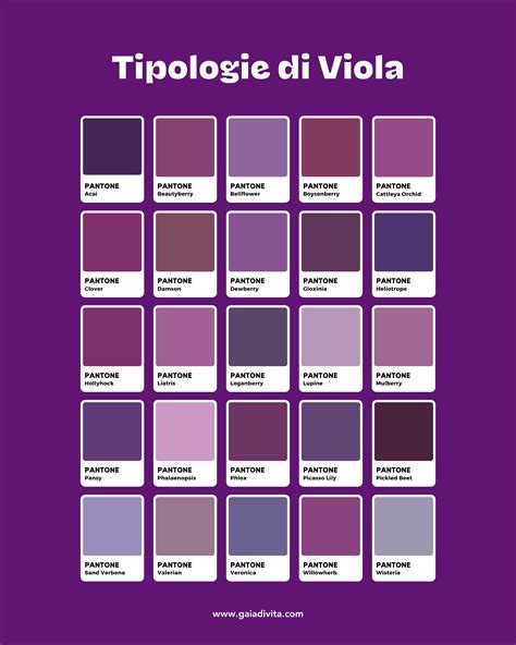 Palette di colori con varie tonalità di viola melanzana