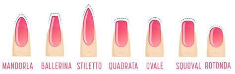 Illustrazione di diverse forme di unghie: mandorla, stiletto, squadrata, ovale