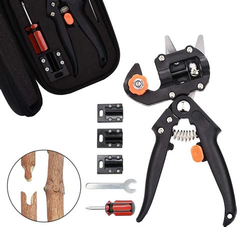 Set di attrezzi essenziali per l'innesto di piante da frutto.