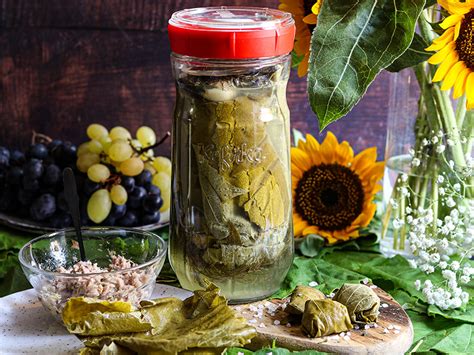 Kit completo per la fermentazione delle verdure con barattoli, pressini e gorgogliatore