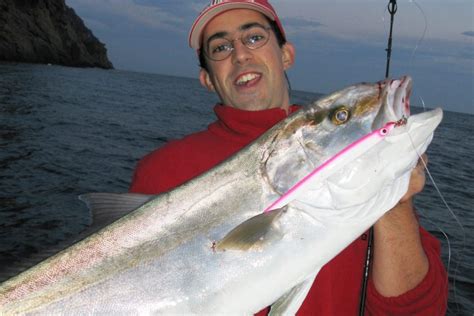 Pesca della ricciola