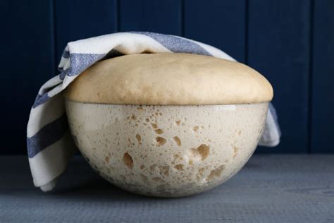 Impasto per tigelle pronto per la lievitazione