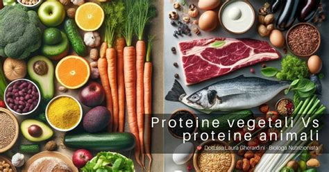 Infografica che confronta il contenuto proteico di diversi alimenti, sia animali che vegetali