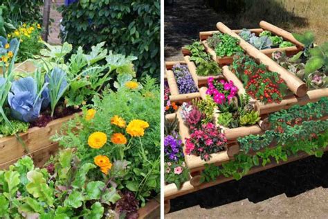 orto con pomodori sostenuti da paletti