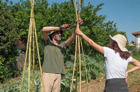struttura a capanna per pomodori