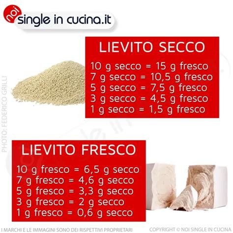 Confronto tra lievito fresco e lievito secco