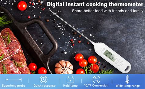 Termometro da cucina inserito in un pezzo di carne